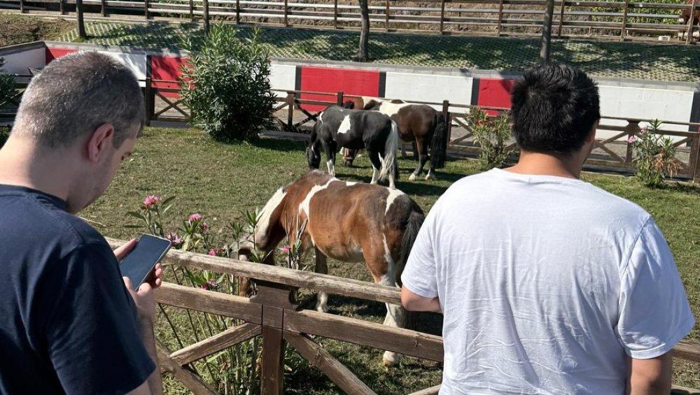 Otizmli Çocuklarımız Atlarla Buluştu